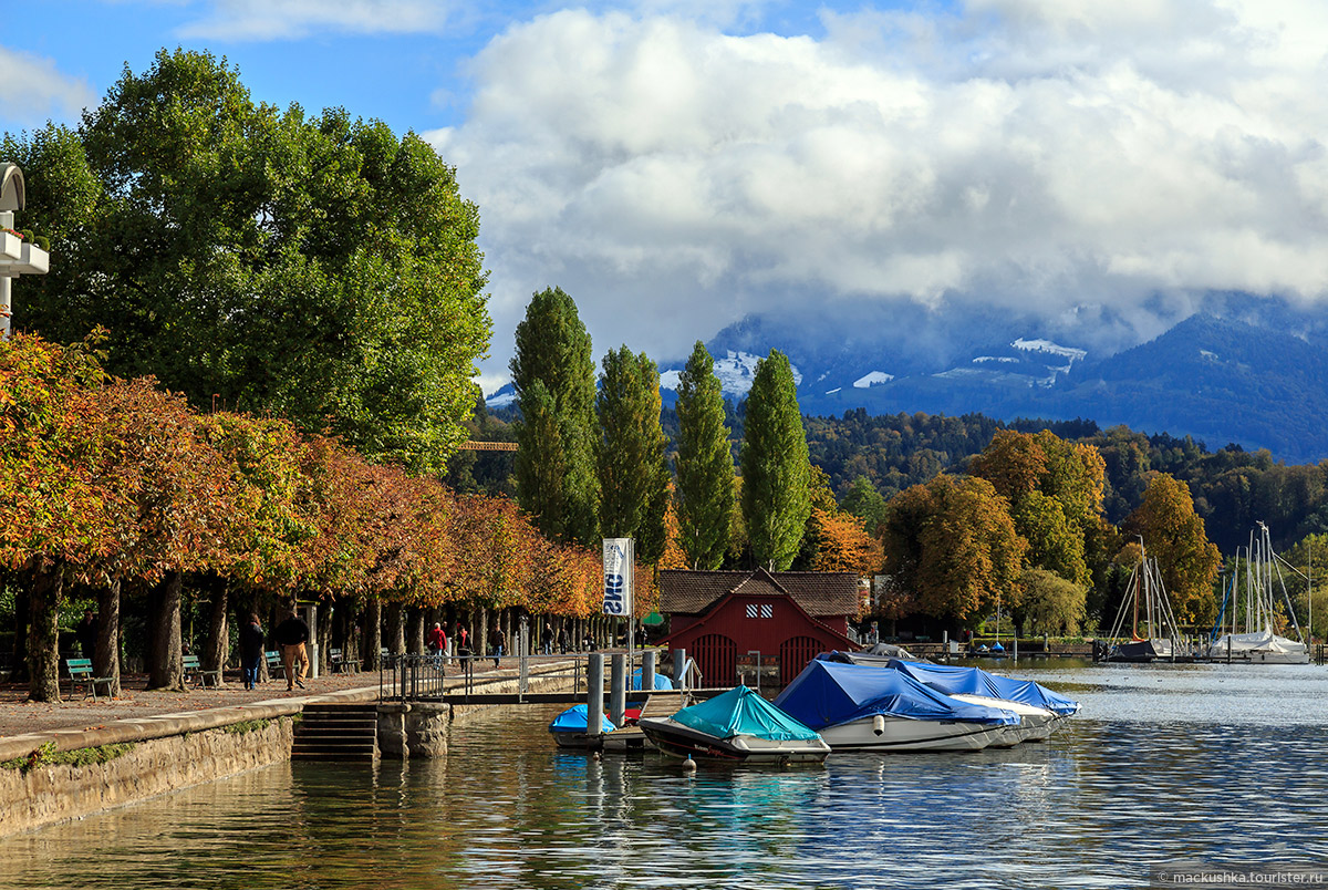 Lucerne